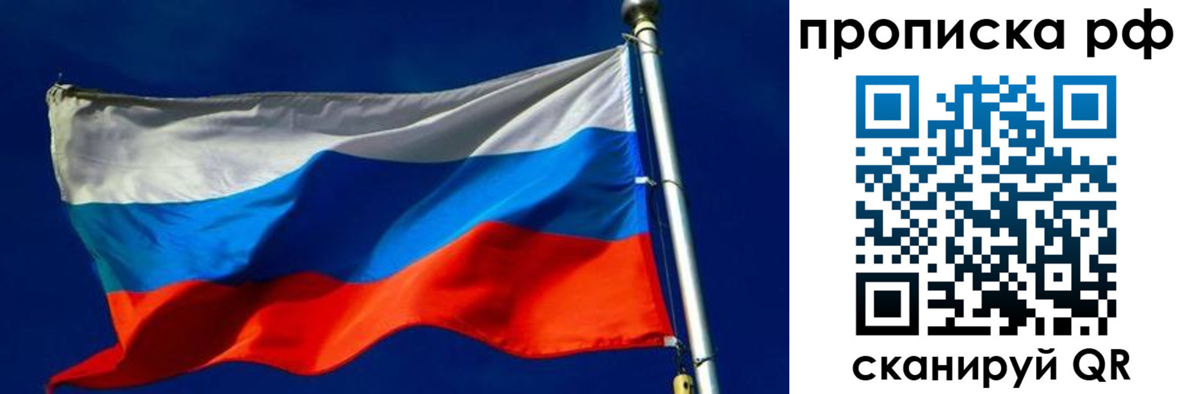 временная регистрация в Мончегорске