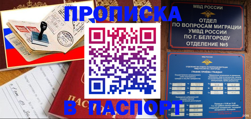 купить прописку в Мончегорске